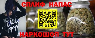 гашик Лесосибирск